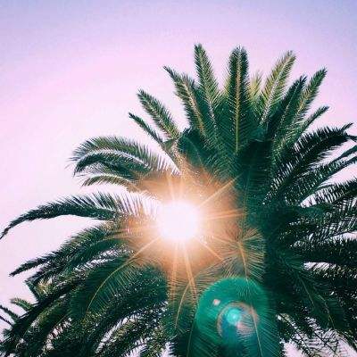 环球体育登录平台