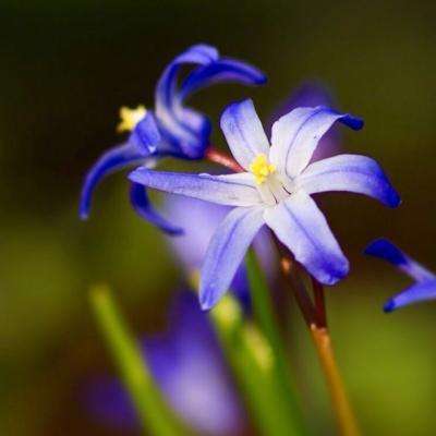 一分三快app手机app下载