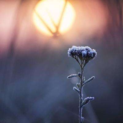 华体会登录(官方)APP下载下载手机版