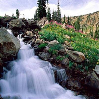 亚搏娱乐app官网下载